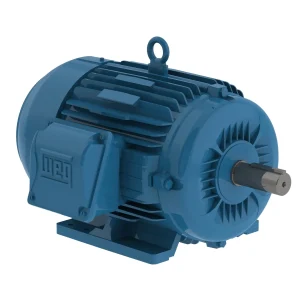 MOTOR NEMA TRIFÁSICO, MODELO 01018ET3EM215TW